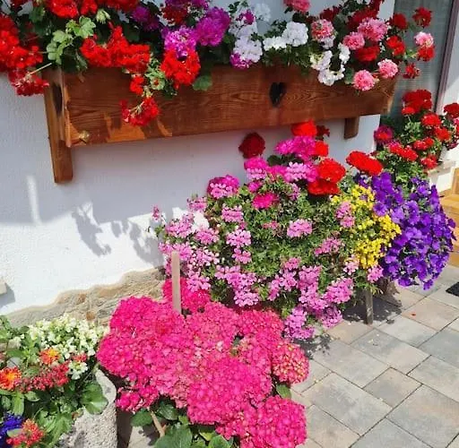 Piccola Sul Civetta * Colle Santa Lucia